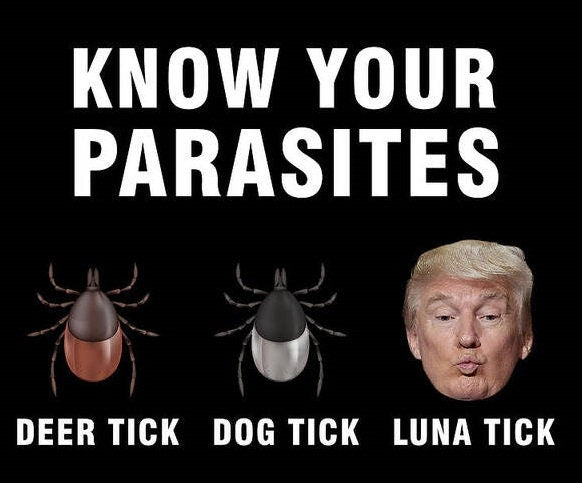 Parasite Anti-Trump 2025 Yard Sign - 18X24" with Stake - Fast Free Shipping!