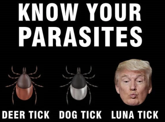 Parasite Anti-Trump 2025 Yard Sign - 18X24" with Stake - Fast Free Shipping!
