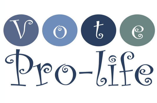 Vote Pro Life Yard Sign - 18X24" with Stake - Fast Free Shipping!