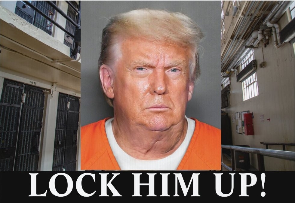 Mugshot - Lock Him Up Anti-Trump Yard Sign - 18X24" with Stake - Fast Free Shipping!